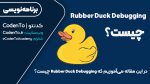 Rubber-Duck-Debugging